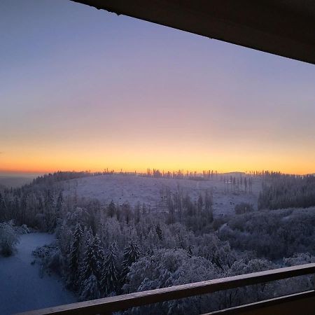 Appartement Zur Bergoase Mi Schwimmbad Hohegeiß Esterno foto