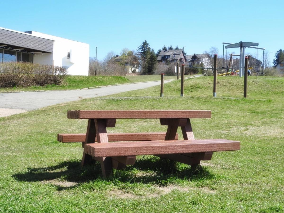 Appartement Zur Bergoase Mi Schwimmbad Hohegeiß Esterno foto