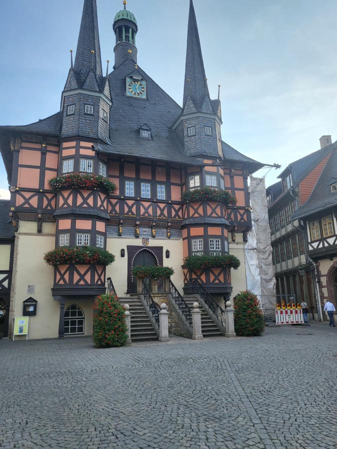 Appartement Zur Bergoase Mi Schwimmbad Hohegeiß Esterno foto