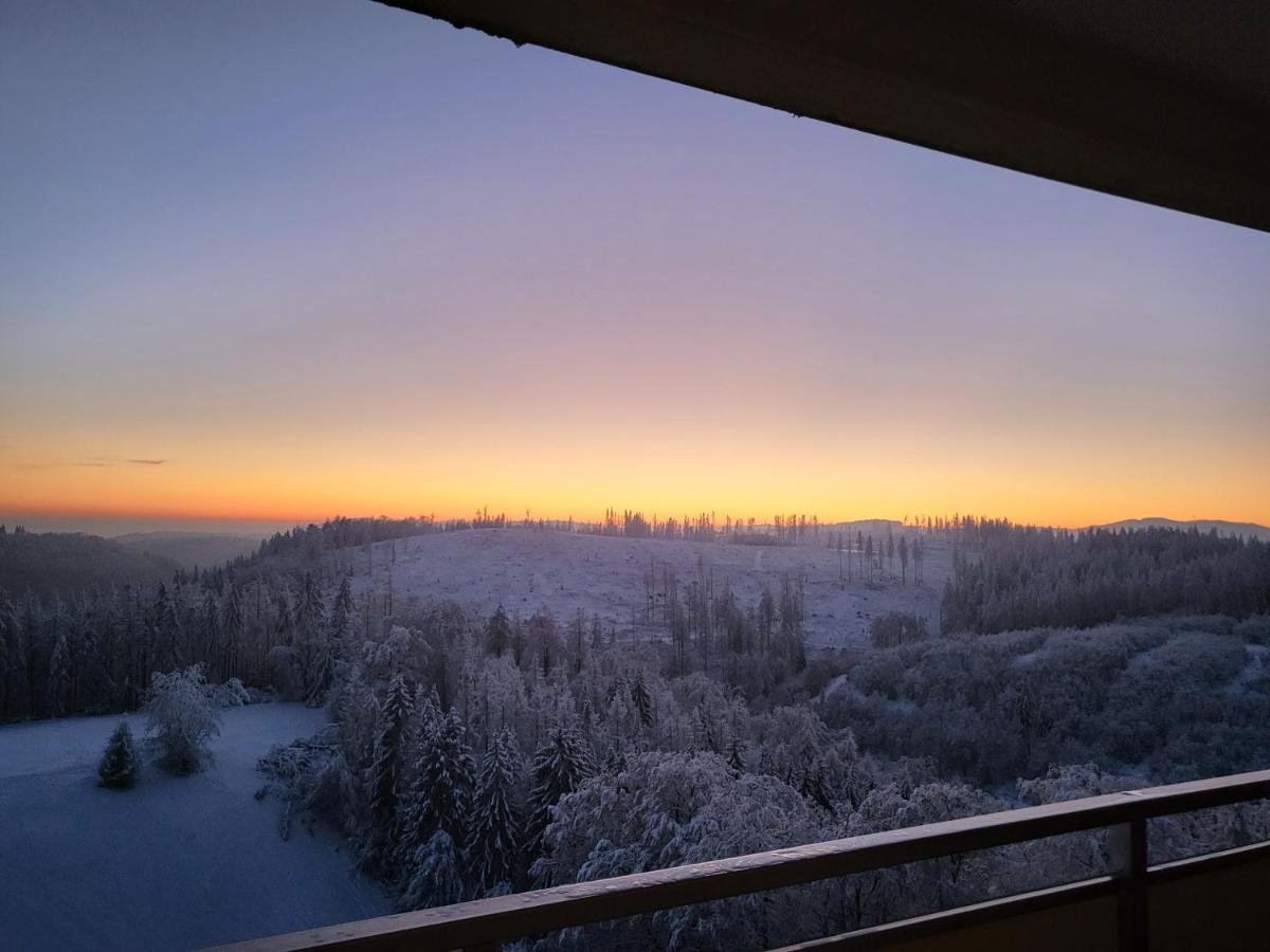 Appartement Zur Bergoase Mi Schwimmbad Hohegeiß Esterno foto